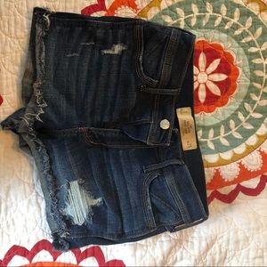 Hollister jean shorts